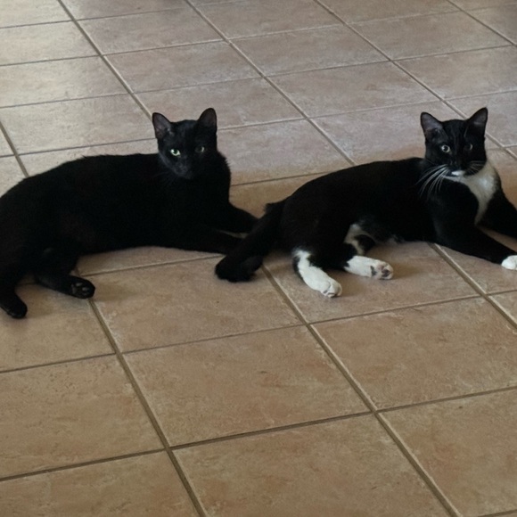 Meet your Posher, Stacey - Picture 1 of 1